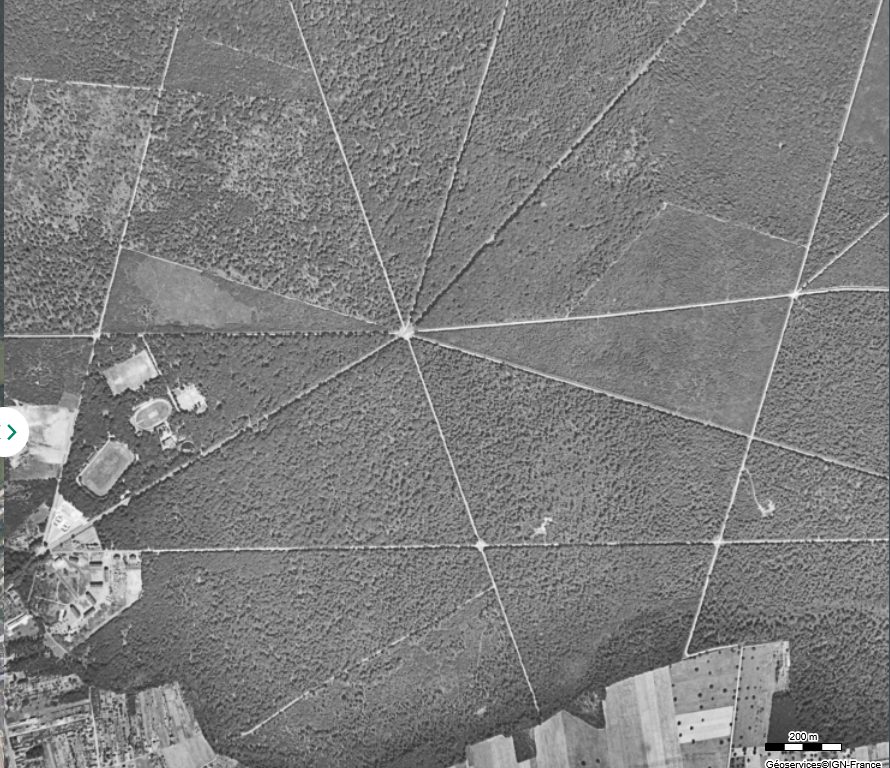 Photo aérienne noir et blanc avant 1960, parcelle entièrement boisée