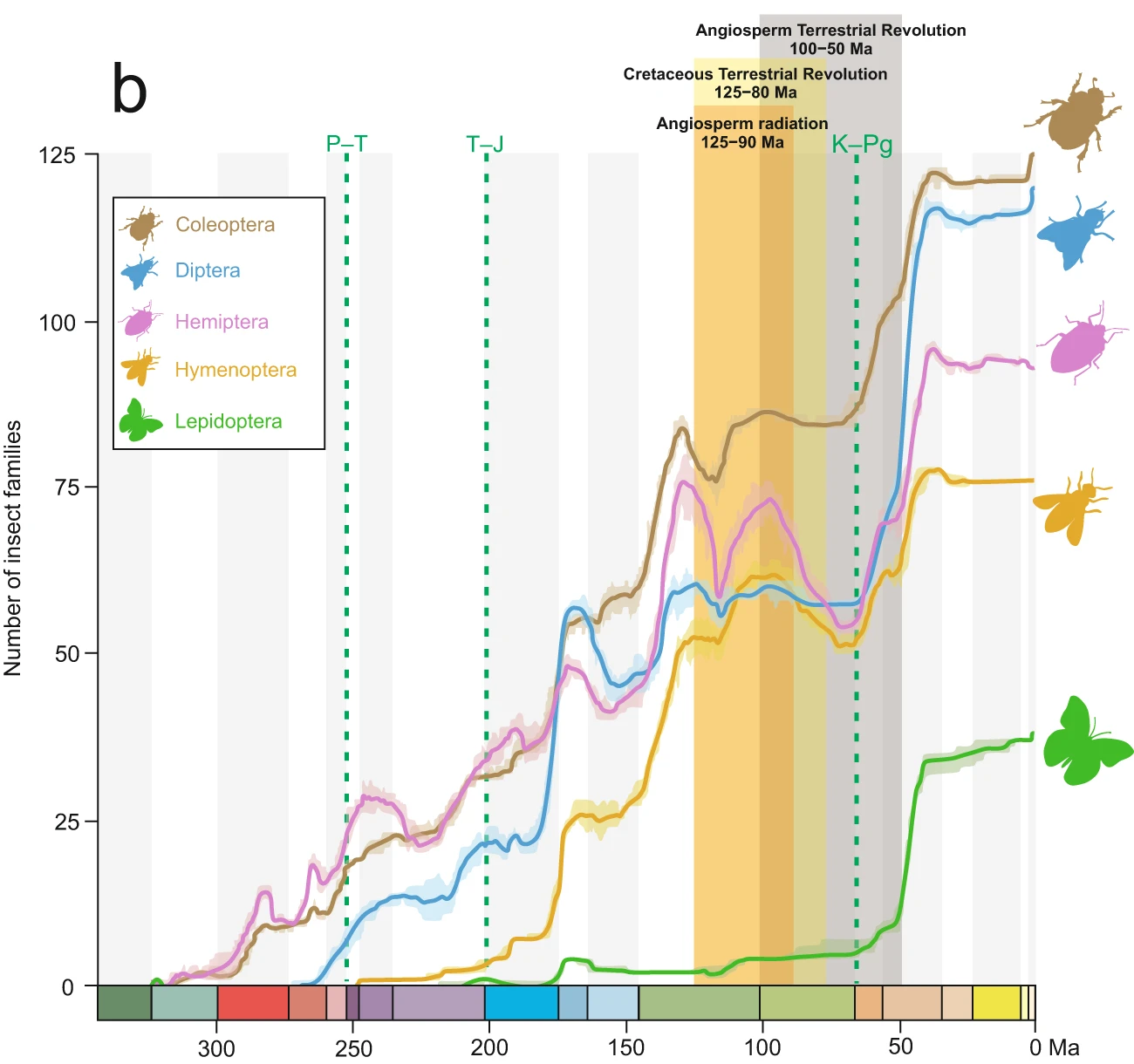 Graphique scientifique montrant l'évolution du nombre de familles par ordre d'insectes (Coléoptères, Diptères, Hémiptères, Hyménoptères, Lépidoptères) au cours du temps